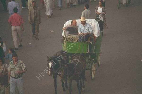 Moroccans in Horse & Carriage, Place Jemaa el-Fna, Marrakech
